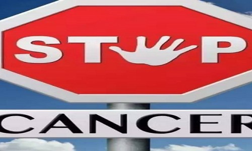NAD+ may enhance the effectiveness of cancer immunotherapy