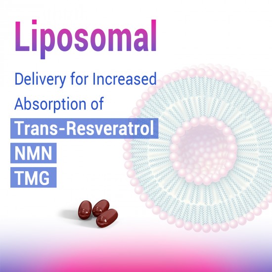 Gyriesse NMN 500mg + Trans-Resveratrol 1200mg Plus TMG 500mg (60 Softgels(Pack of 1))