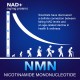 NMN PLUS 1000MG (60Count(Pack of 1)) NMN PLUS 1000MG (60Count(Pack of 1))